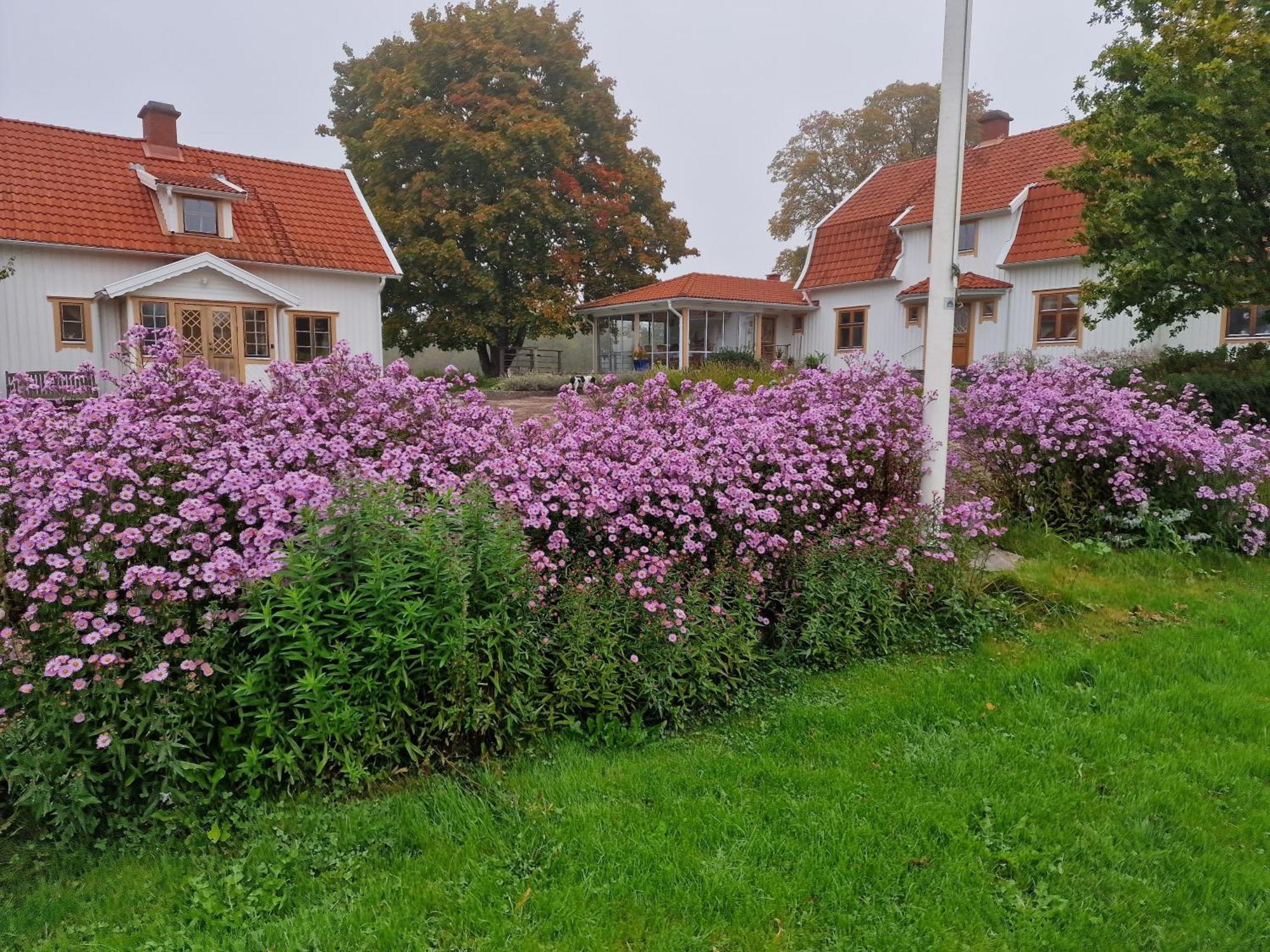 Stuga I Smaland Villa Kulltorp  Dış mekan fotoğraf